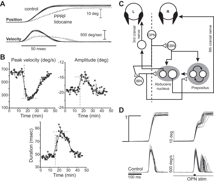 Fig. 8.