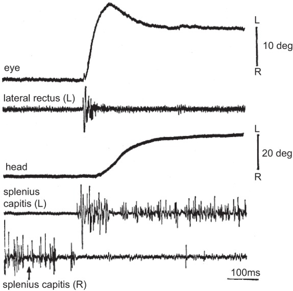 Fig. 17.