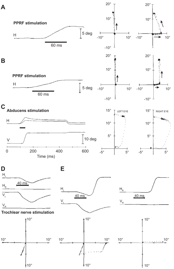 Fig. 11.