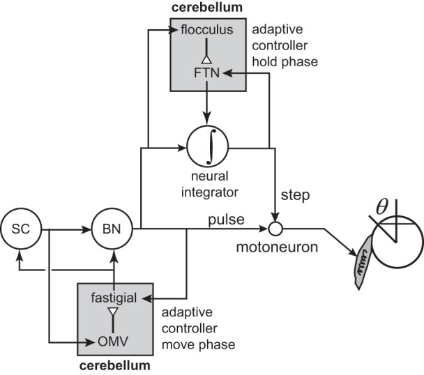 Fig. 14.