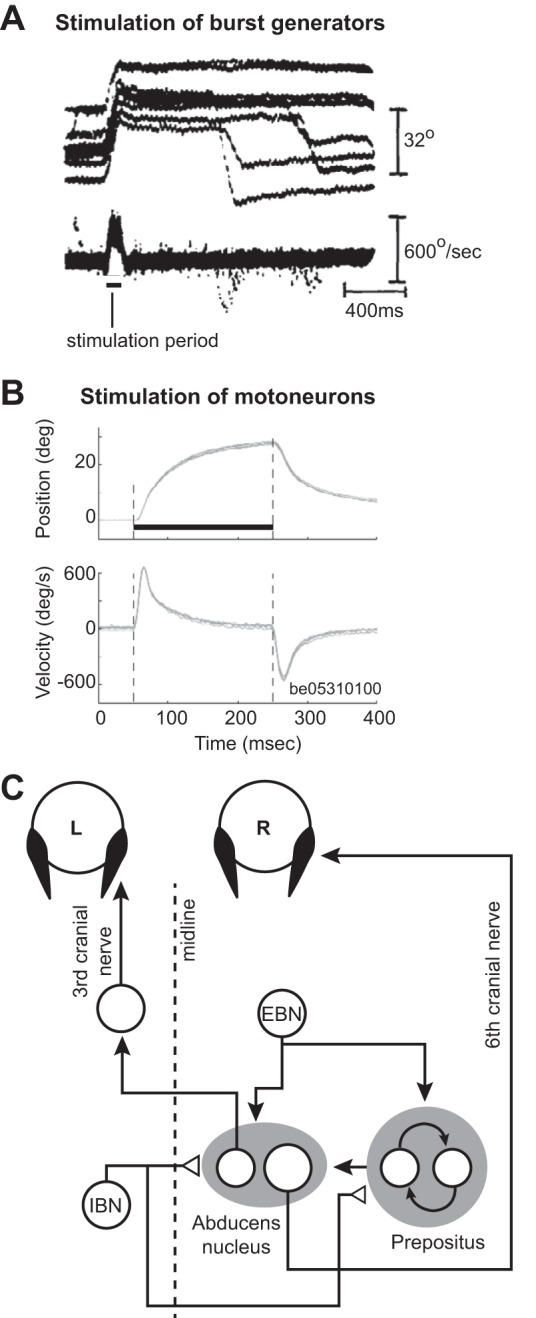 Fig. 7.