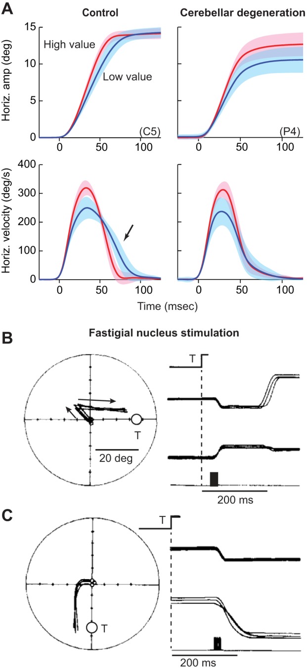 Fig. 12.