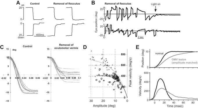 Fig. 16.