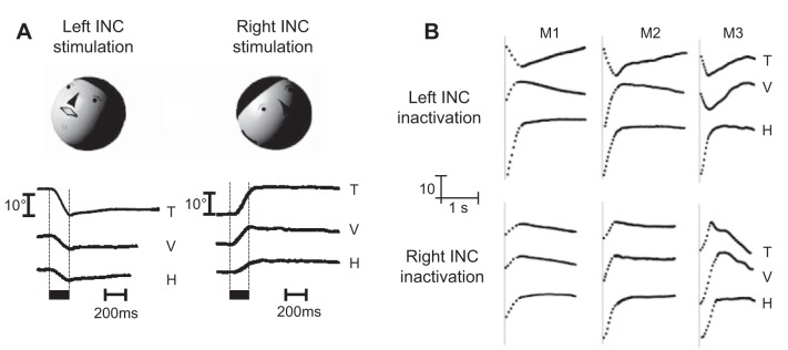 Fig. 19.