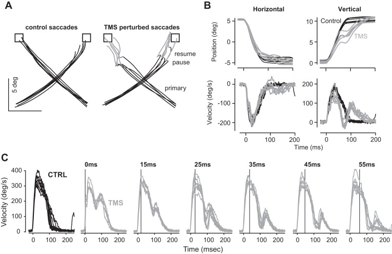 Fig. 9.