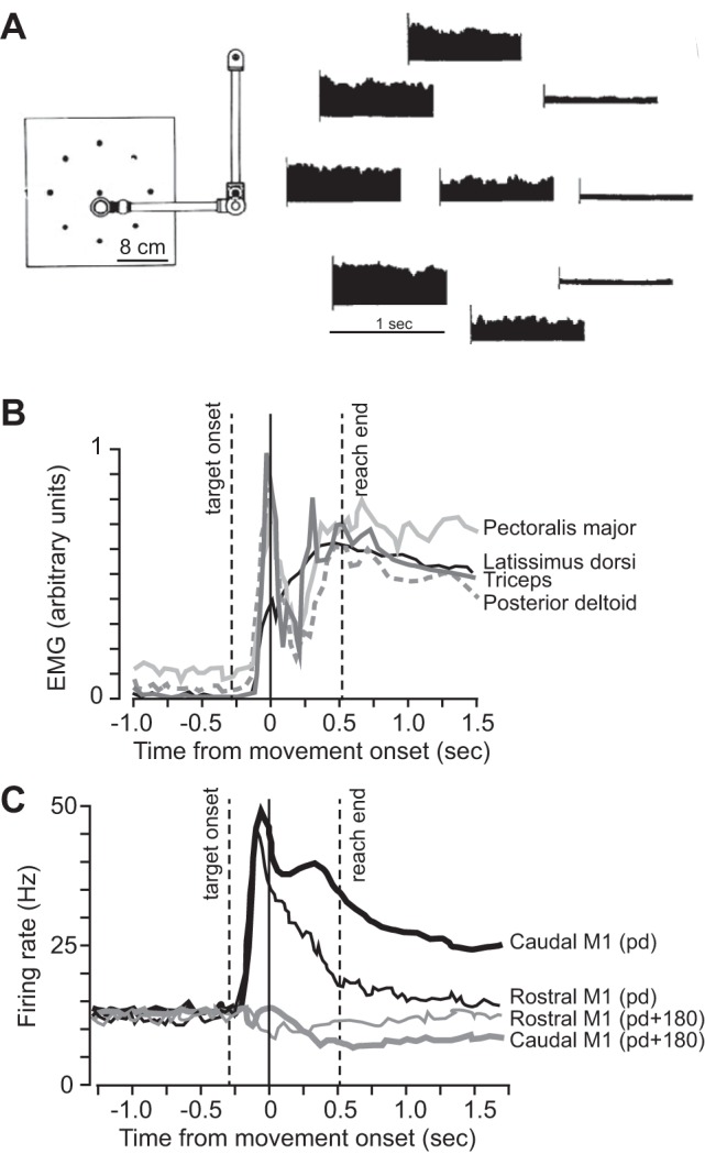 Fig. 20.