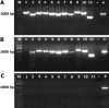 Fig 9