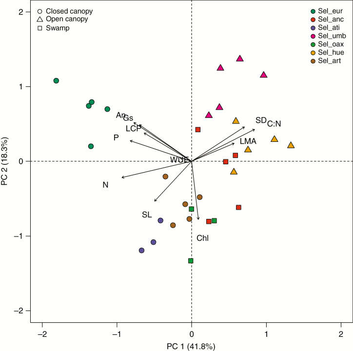 Fig. 2.