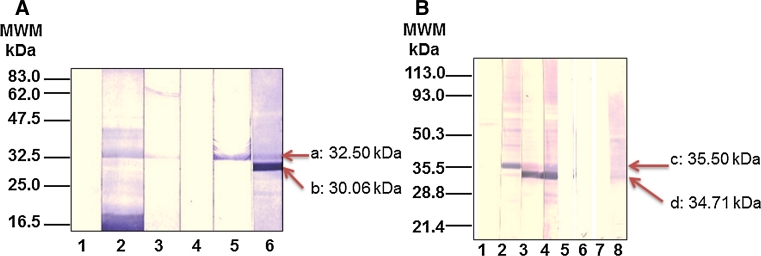 Fig. 7