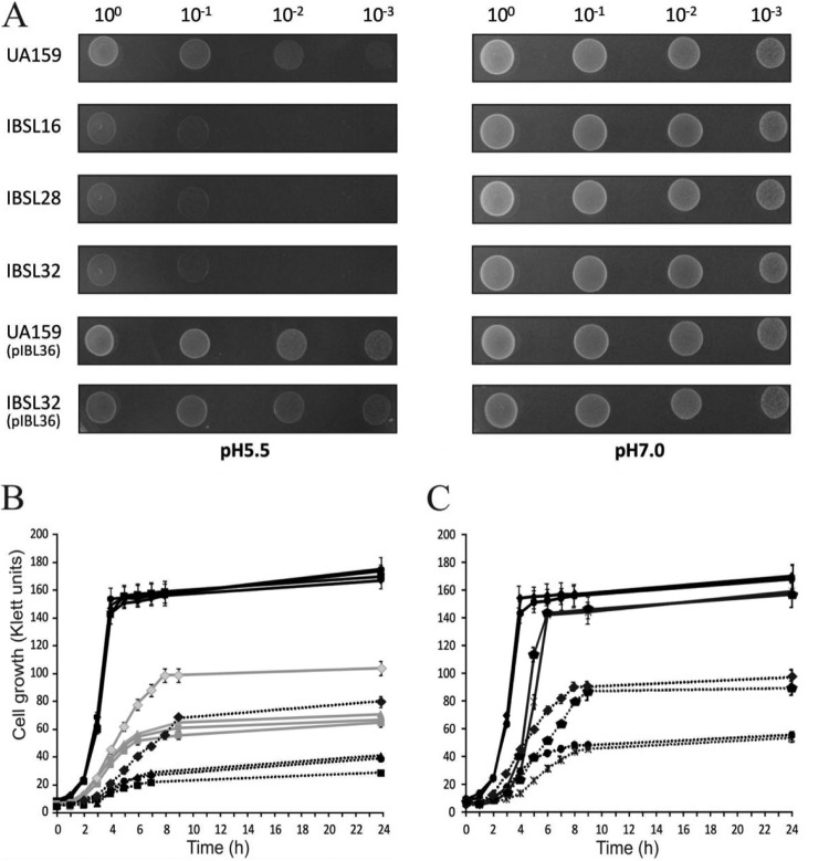 FIG 3