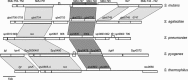 FIG 2