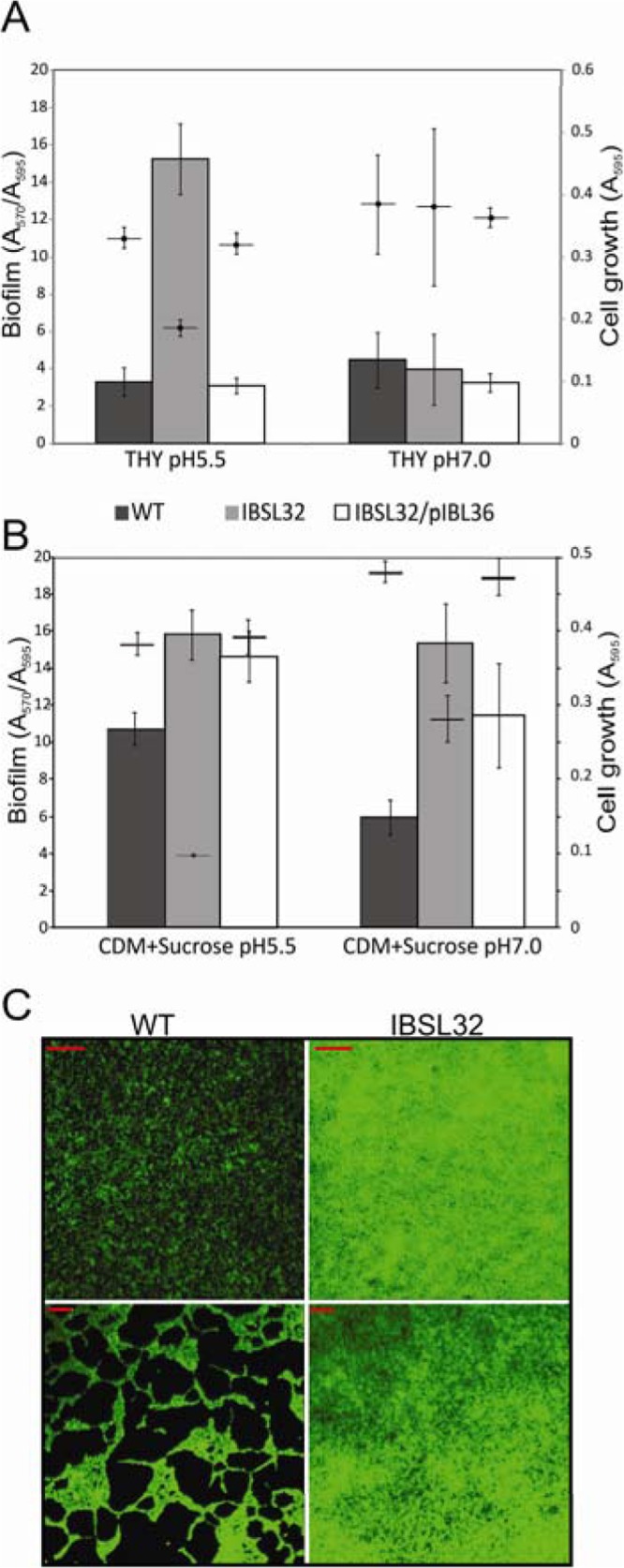 FIG 4