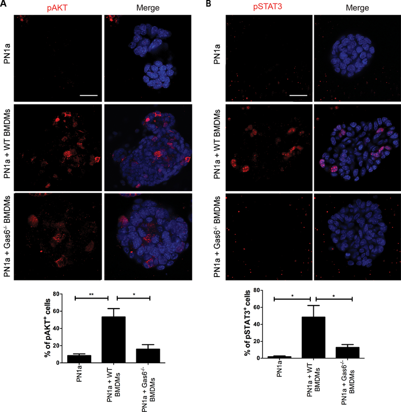 Figure 6: