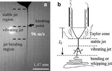 Fig. 9