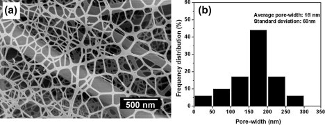 Fig. 12