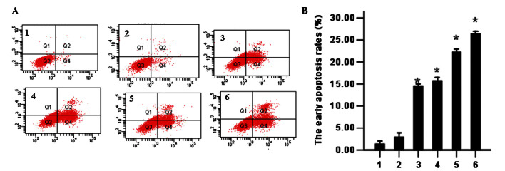 Figure 6