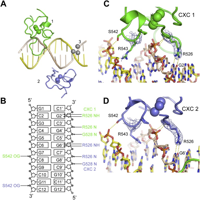 Figure 5.