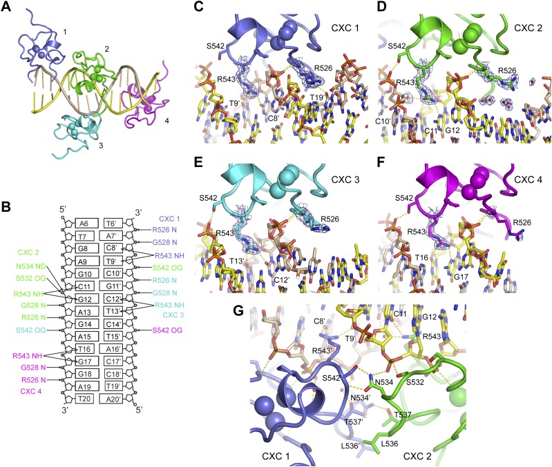 Figure 2.