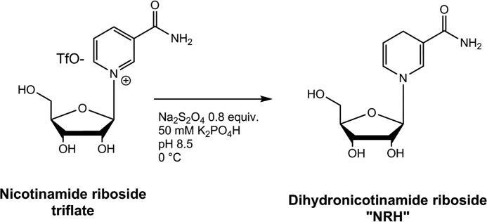 Scheme 1.