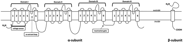 Figure 2: