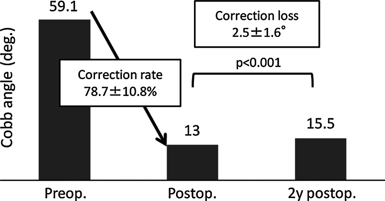 Fig. 4