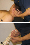 Figure 1)