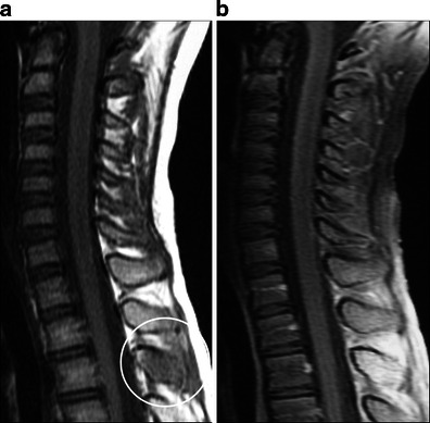 Fig. 20