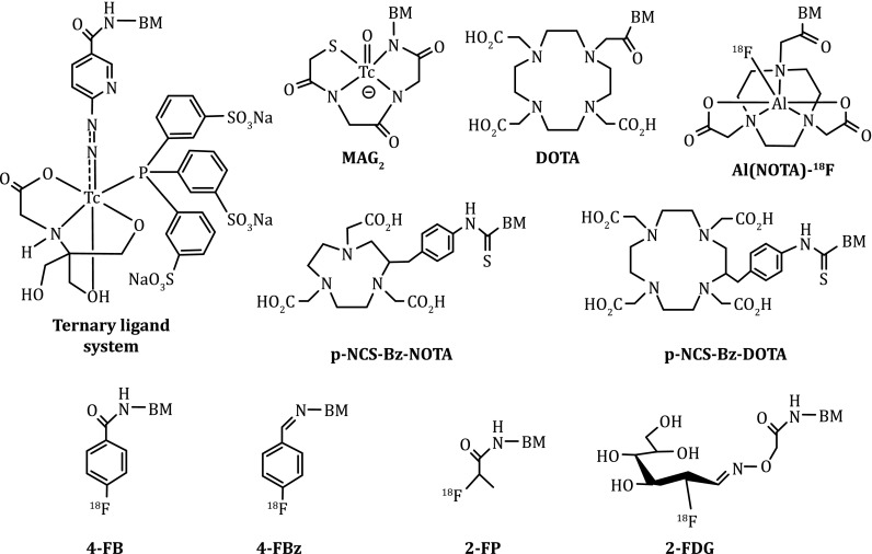 Fig. 2