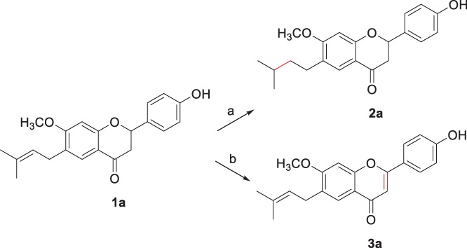 Scheme 1