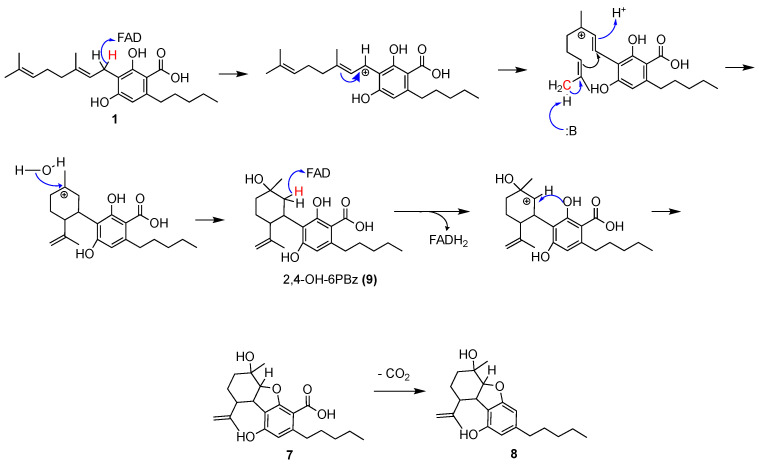 Scheme 4