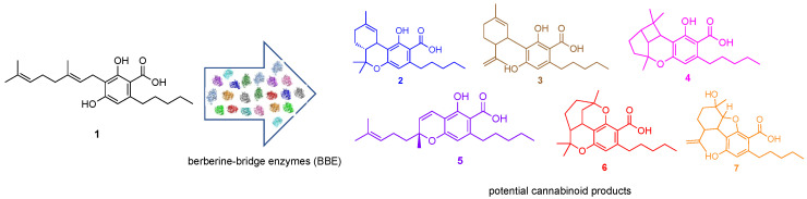 Scheme 2