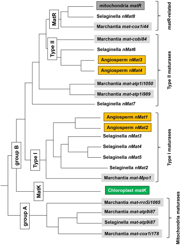 Figure 5