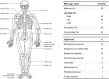 Fig. 1-A