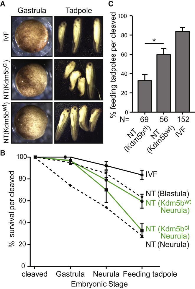 Figure 4