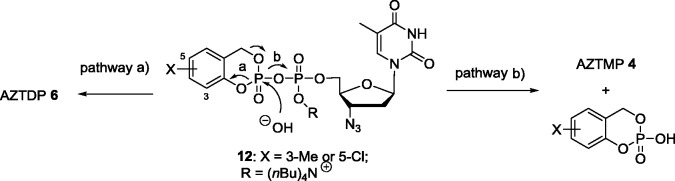 Scheme 3.