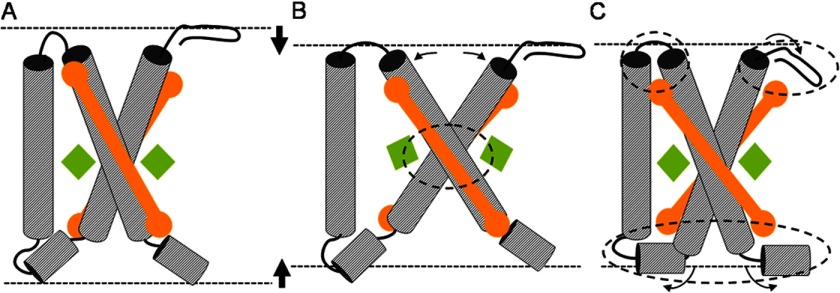 FIGURE 7.