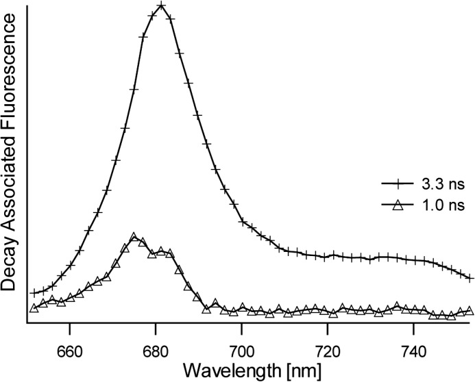 FIGURE 1.