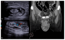 Figure 24