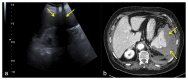Figure 27
