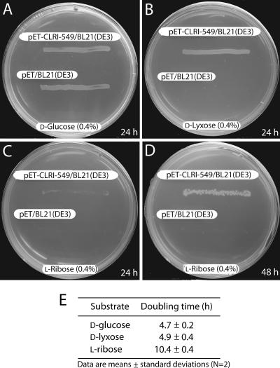 FIG. 6.