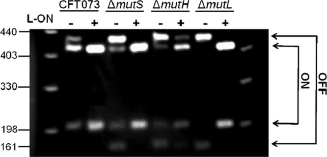 Fig 6