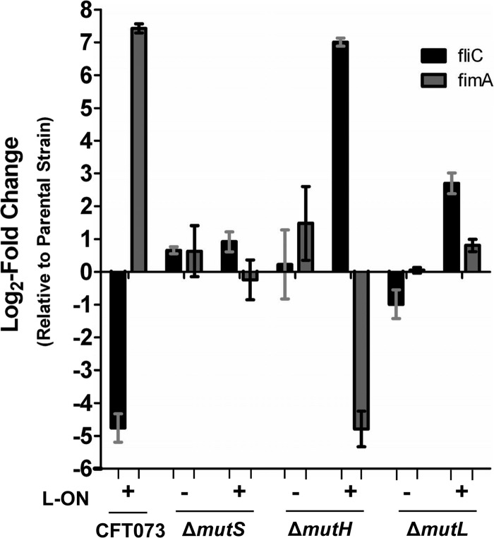 Fig 4