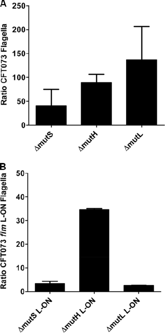 Fig 5