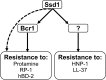 Fig 8