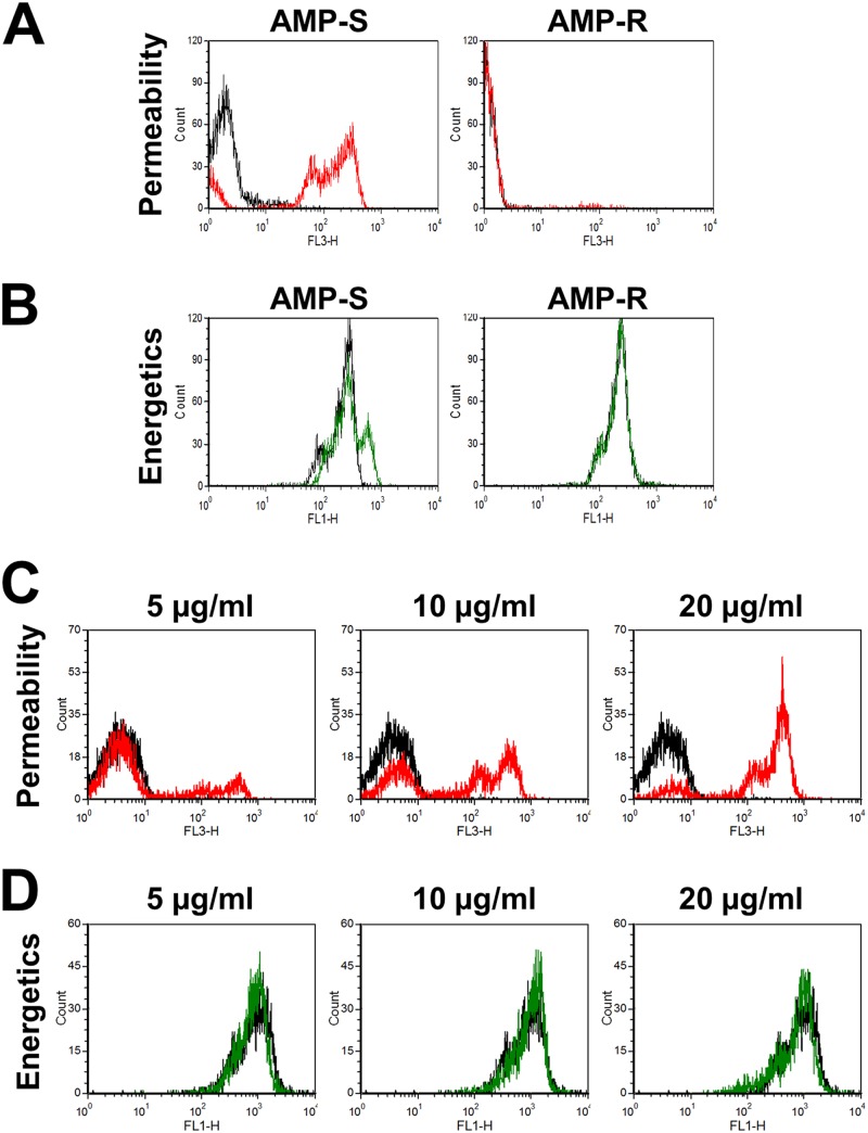 Fig 6