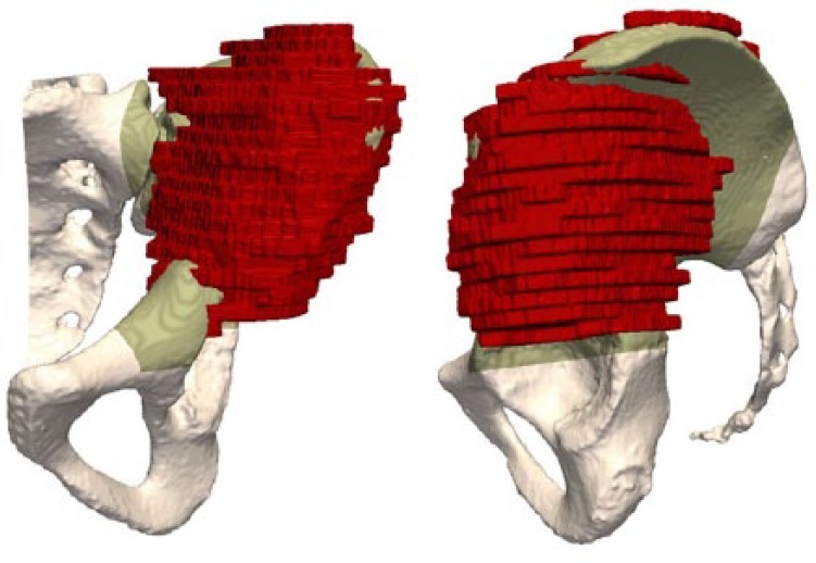 Fig. 10