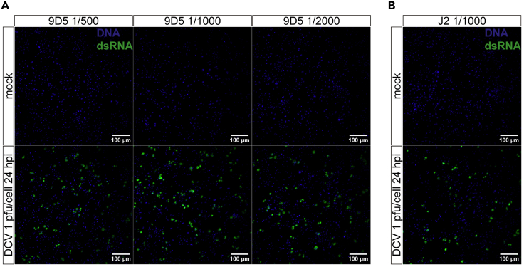 Figure 4