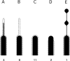 Fig. 11.