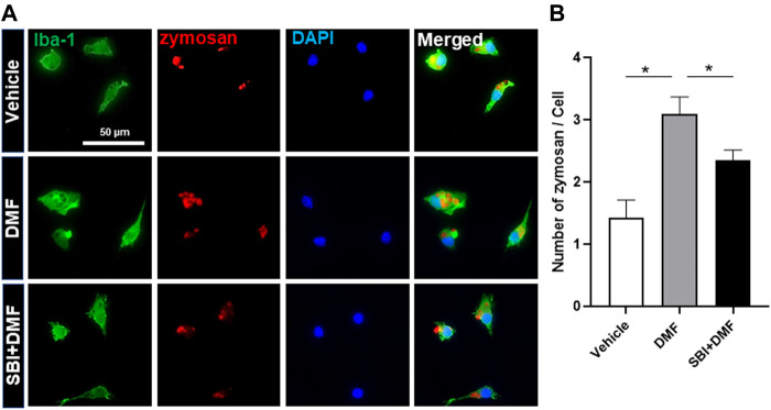 FIGURE 6