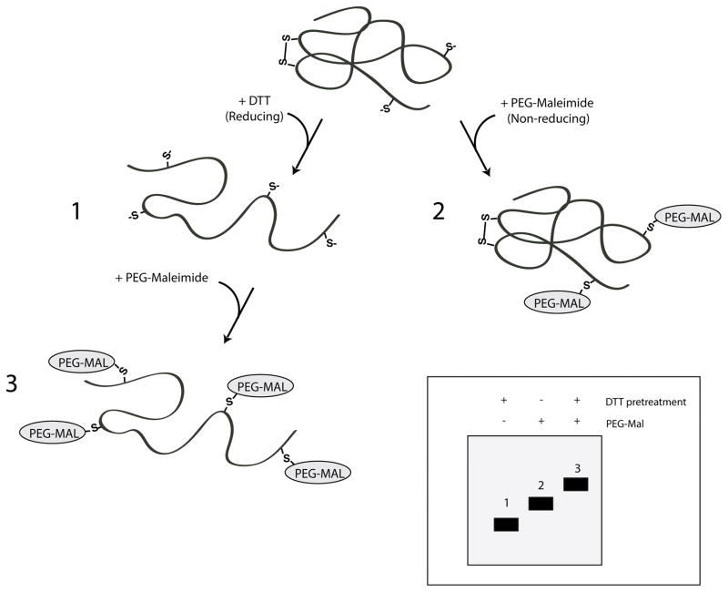 Figure 14.X.X